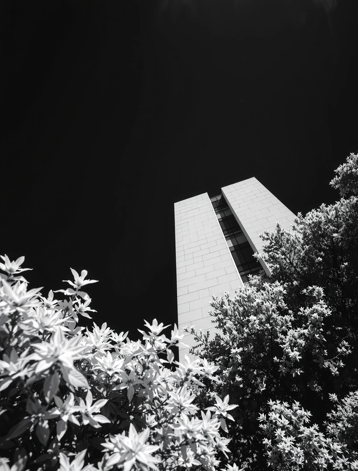 Infrared architectural study