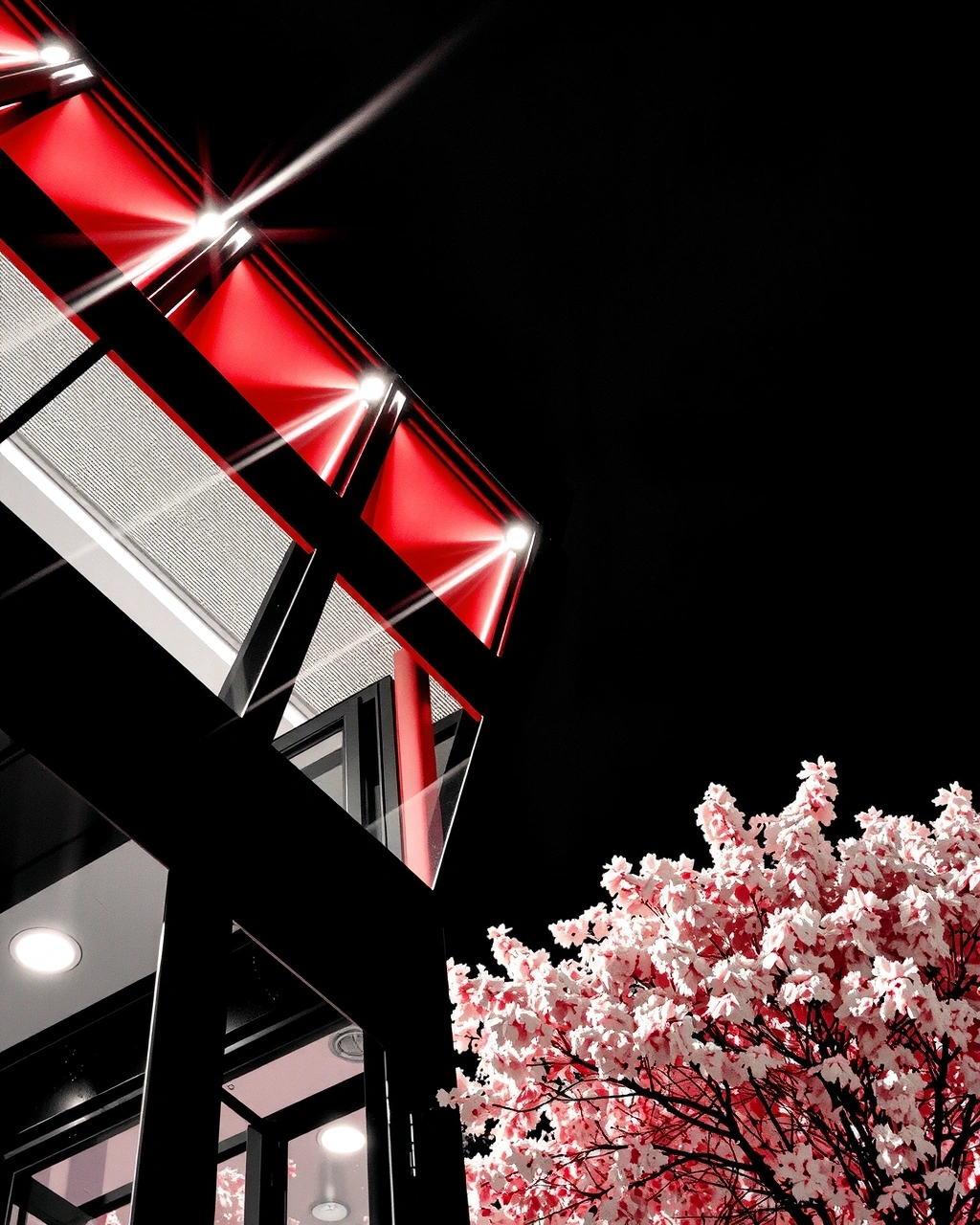 Structural glass study