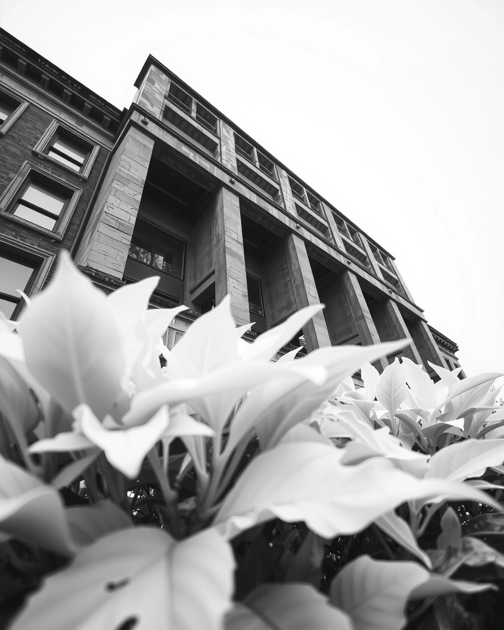 Brutalist architectural rigor